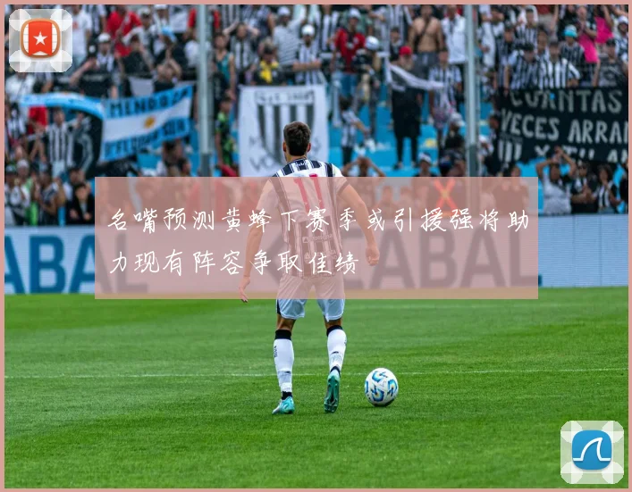名嘴预测黄蜂下赛季或引援强将助力现有阵容争取佳绩